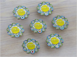 pins con brillanti