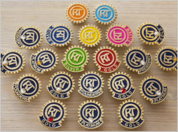pins gerarchiche